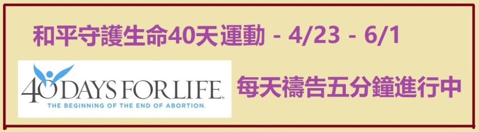 Treasure Lives 2026a